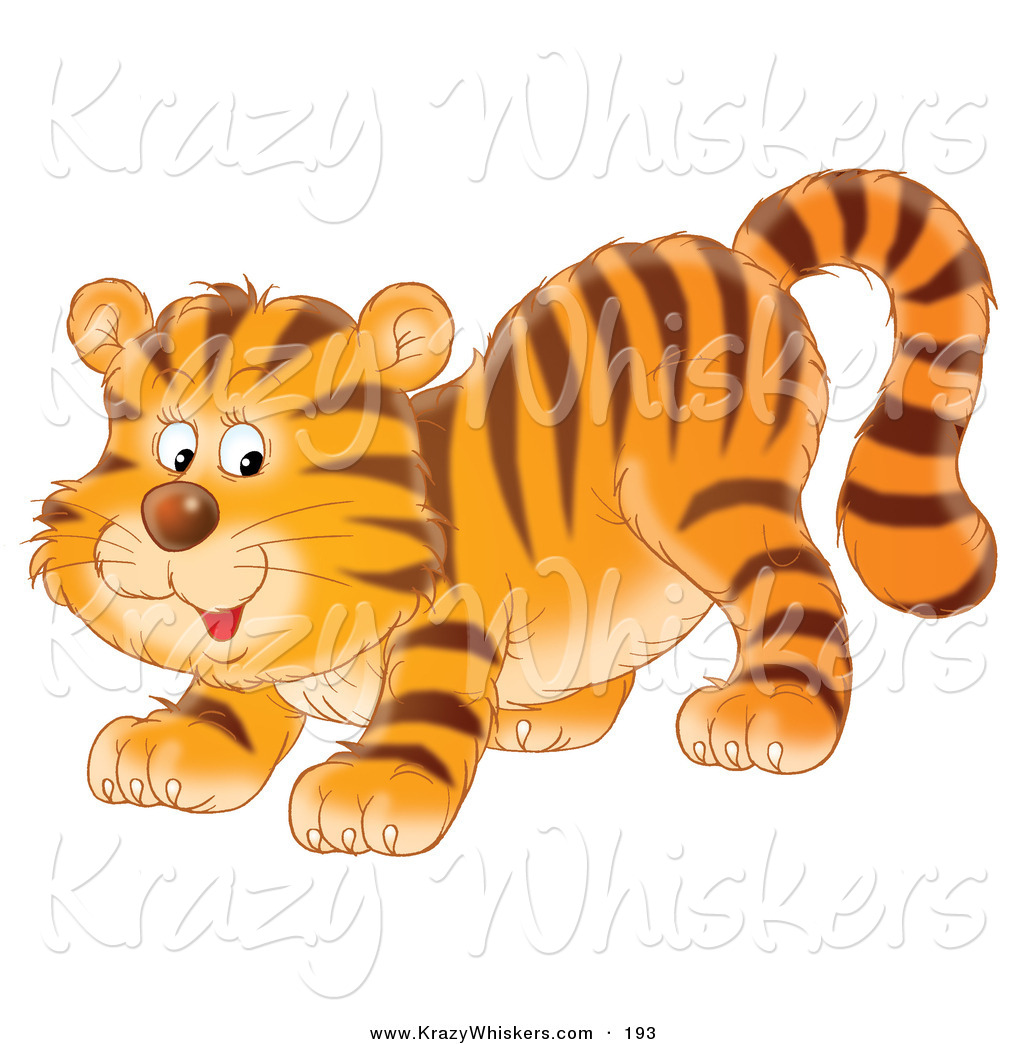 clip art tiger cub - photo #27