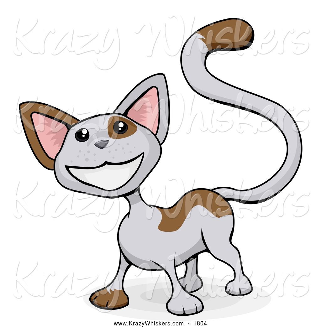 cartoon calico tabby cat