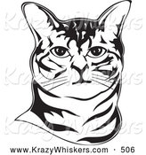 Critter Clipart of a Cute American Bobtail Cat by David Rey