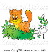 Critter Clipart of a Cute Orange Kitten Exploring the Outdoors, Standing in Leaves at the End of a Tree Branch by Alex Bannykh