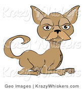 Critter Clipart of a Grumpy Brown Cat with a Mustache by AtStockIllustration