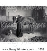 Critter Clipart of a Woman Feeding and a Horse While a Dog Watches and a Kitten Plays by JVPD