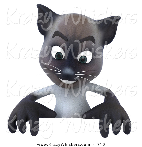 Critter Clipart of a 3d Siamese Cat over a Blank Sign