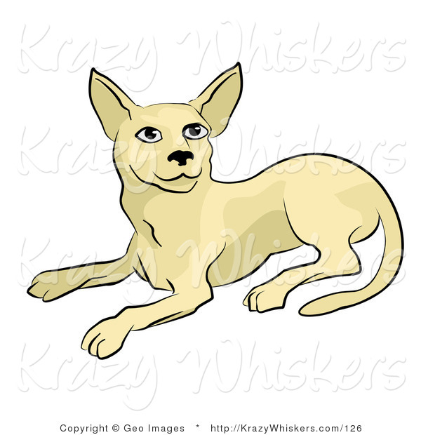 Critter Clipart of a Beige Cat Laying down and Looking up