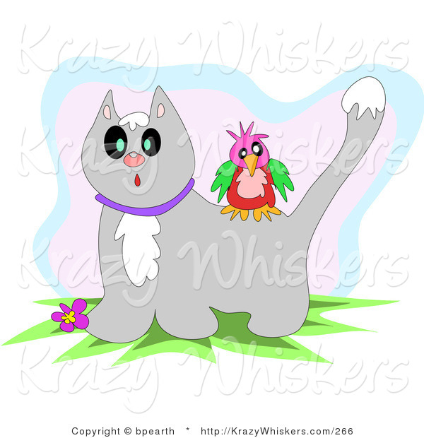 Critter Clipart of a Colorful Bird on the Back of a Surprised Gray Tabby Cat with Snow on Its Head