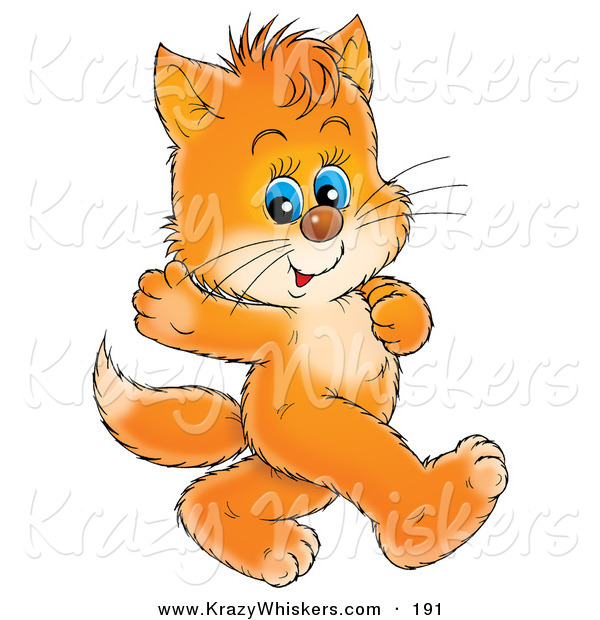 Critter Clipart of a Cute Blue Eyed Orange Kitten Waving and Walking on Its Hind Legs
