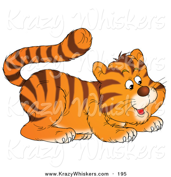 Critter Clipart of a Cute Frisky Tiger Cub Playfully Crouching down