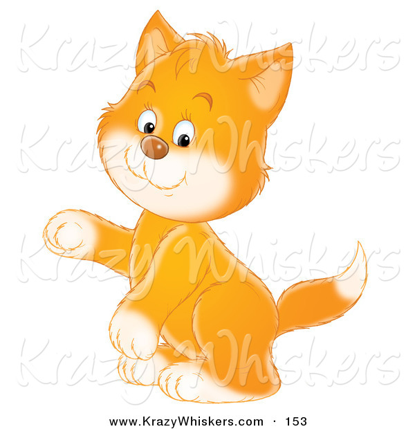 Critter Clipart of a Cute Ginger Kitten with White Paws and Cheeks, Sitting up on His Hind Legs and Holding One Paw up