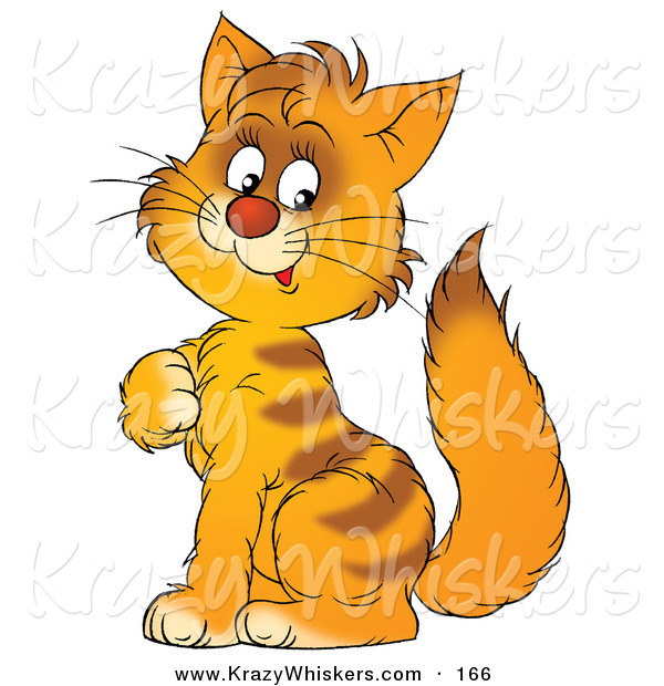 Critter Clipart of a Cute Orange Striped Kitten Sitting and Scratching His Chest