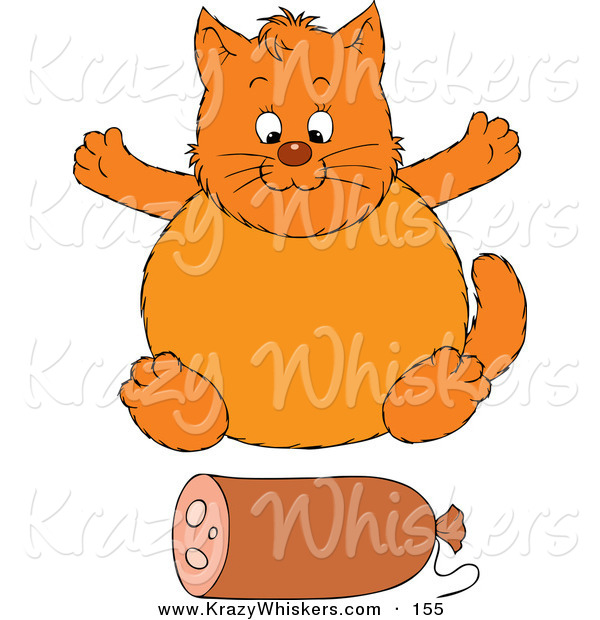 Critter Clipart of a Plump Orange Cat Sitting in Front of a Roll of Sausage