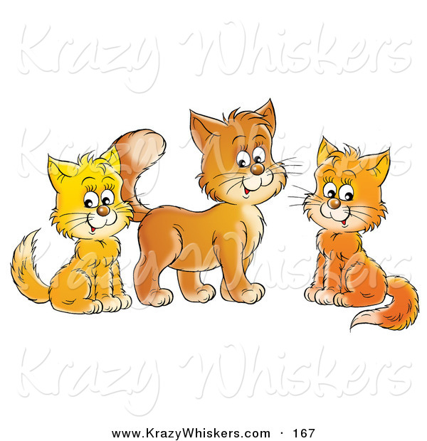 Critter Clipart of a Trio of Orange and Yellow Cats Sitting and Looking at the Viewer