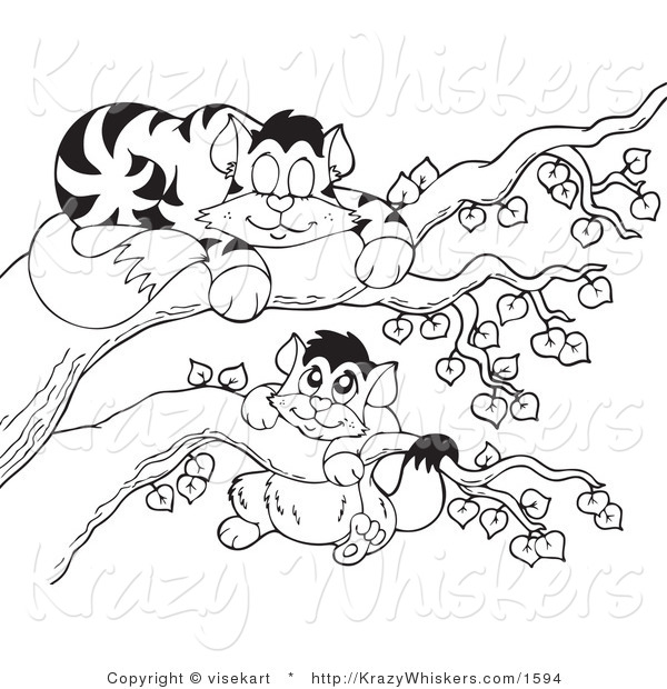 Vector Critter Clipart of Black and White Cats Playing in a Tree - Royalty Free