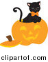 Critter Clipart of a Black Cat Inside a Carved Halloween Pumpkin by Rosie Piter