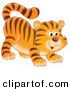 Critter Clipart of a Cute Frisky Tiger Cub Swishing His Tail and Crouching Low on His Front Legs While Stalking Something by Alex Bannykh