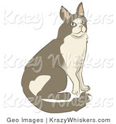 Critter Clipart of a Brown and Tan Cat Sitting and Looking up by AtStockIllustration
