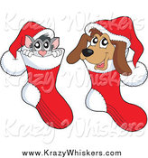 Critter Clipart of a Cat and Dog Inside Christmas Stockings by Visekart