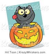 Critter Clipart of a Happy Black Cat in a Halloween Pumpkin by Hit Toon