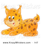 Critter Clipart of a Playful Spotted Bobcat Crouching - Royalty FreePlayful Spotted Bobcat Crouching by Alex Bannykh