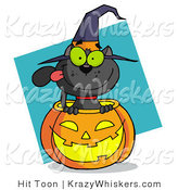 Vector Critter Clipart of a Black Cat Sitting Inside of a Halloween Pumpkin and Wearing with Hat, over a Turquoise Diamond by Hit Toon