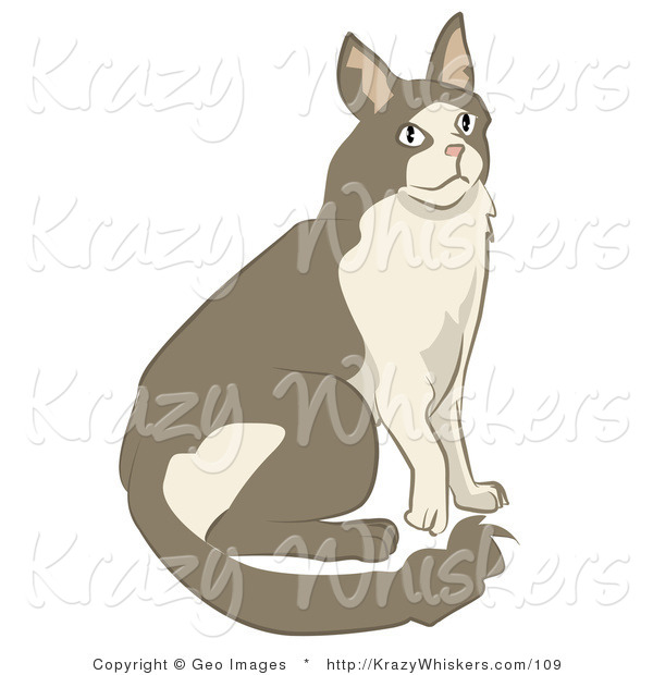 Critter Clipart of a Brown and Tan Cat Sitting and Looking up