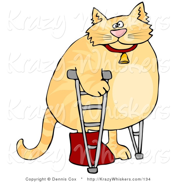 Critter Clipart of a Chubby Orange Cat Using Crutches in a Hospital, One Leg in a Cast