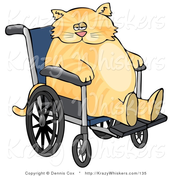 Critter Clipart of a Chubby Orange Tabby Cat Sitting in a Wheelchair in a Hospital