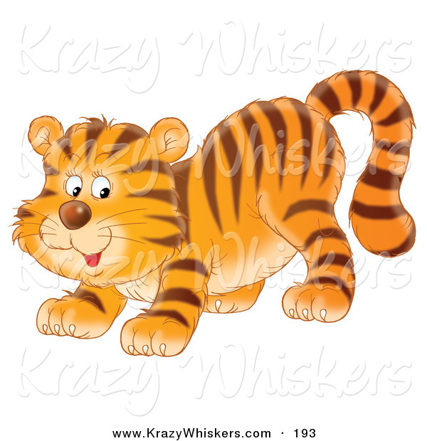 Critter Clipart of a Cute and Playful Tiger Cub Crouching down on His Front Legs, Glancing Back