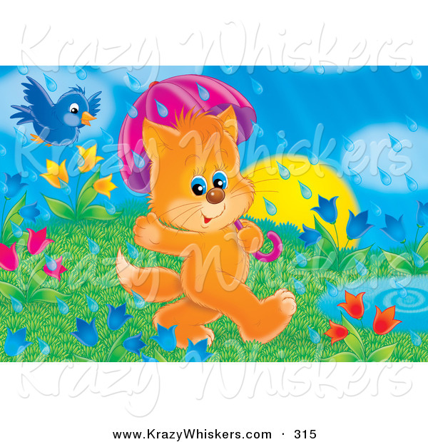 Critter Clipart of a Cute Blue Jay Bird Flying Behind an Orange Kitten Using an Umbrella While Walking by a Puddle Through a Field of Tulips on a Rainy Spring Day