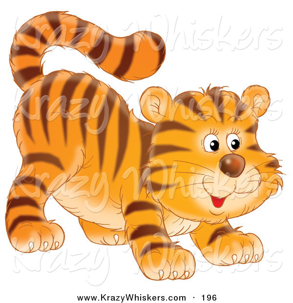 Critter Clipart of a Cute Frisky Tiger Cub Swishing His Tail and Crouching Low on His Front Legs While Stalking Something