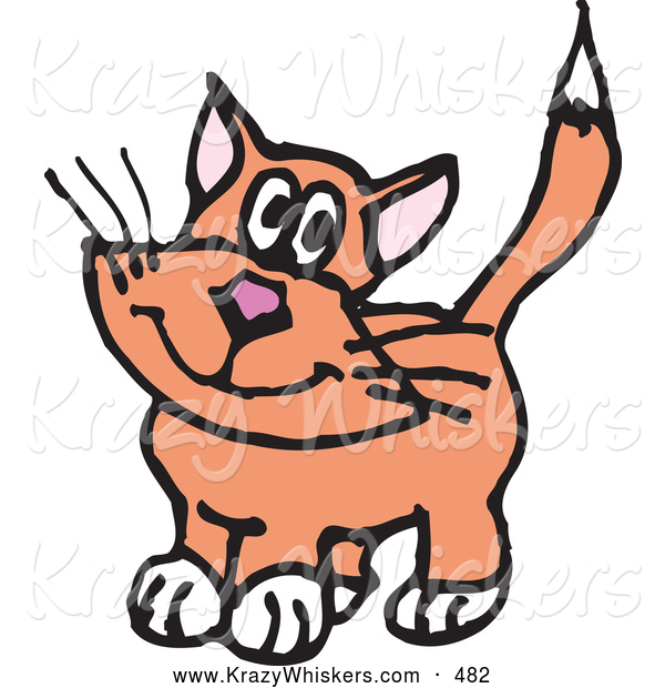 Critter Clipart of a Cute or Innocent Orange Cat with White Paws