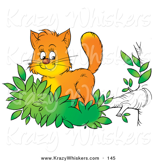 Critter Clipart of a Cute Orange Kitten Exploring the Outdoors, Standing in Leaves at the End of a Tree Branch