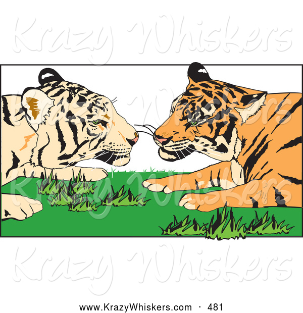 Critter Clipart of a Cute Tiger Pair Gazing at Each Other While Laying in Grass