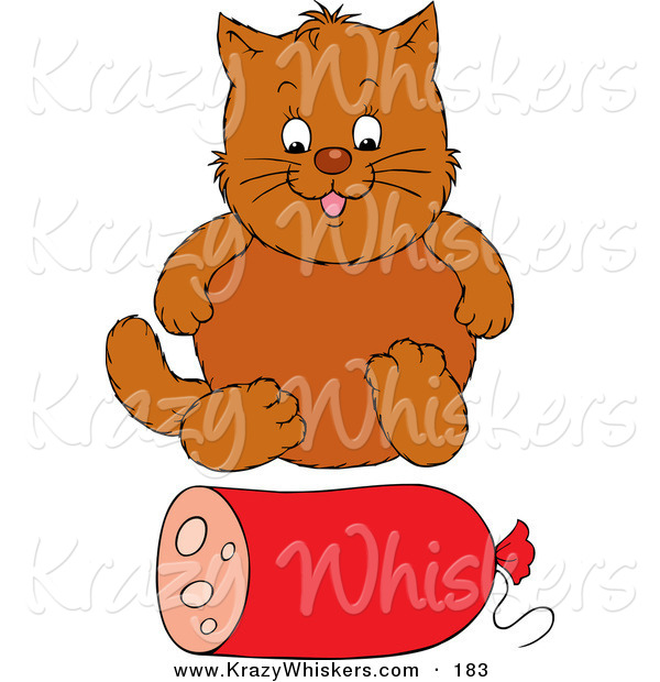 Critter Clipart of a Fat Brown Cat Sitting in Front of a Roll of Sausage