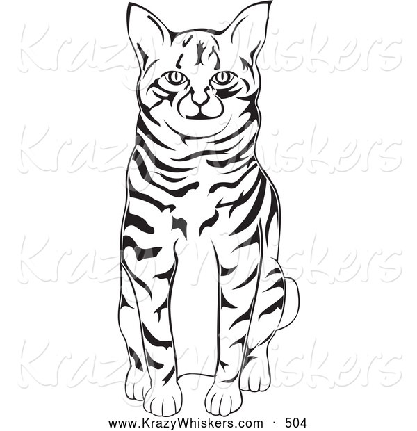 Critter Clipart of a Friendly Black and White American Bobtail Cat Sitting
