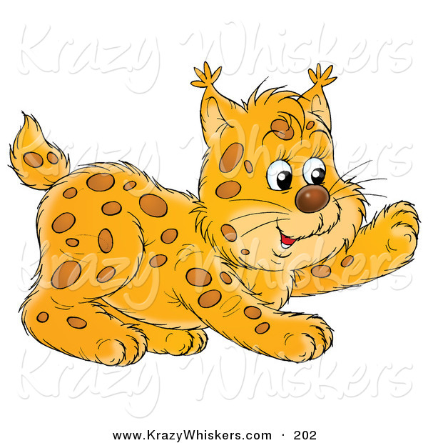 Critter Clipart of a Frisky Bobcat Cub Playing and Looking Right