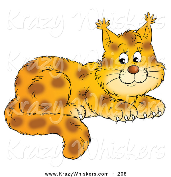Critter Clipart of a Happy and Adorable Spotted Bobcat Cub with Tufts at the Tips of the Ears