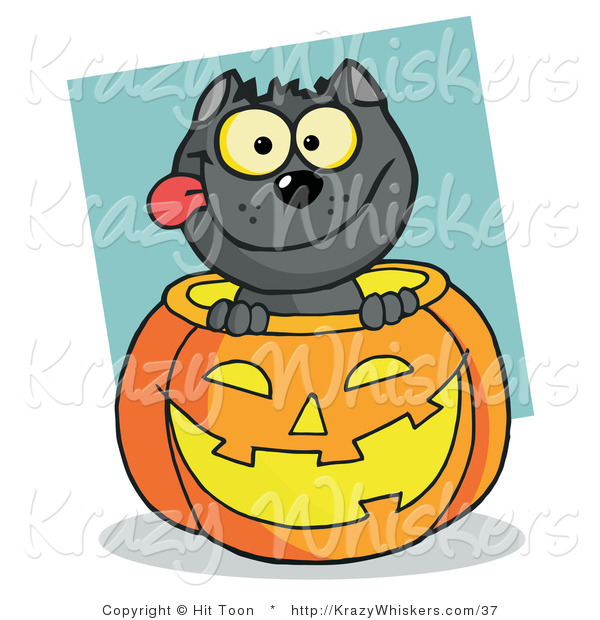 Critter Clipart of a Happy Black Cat in a Halloween Pumpkin
