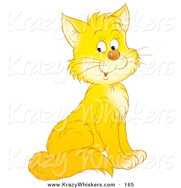 Critter Clipart of a Happy Yellow Kitty Cat with White Cheeks and Chest