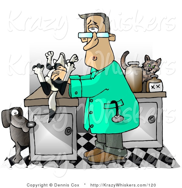 Critter Clipart of a Male Veterinarian with a Dead Dog on His Clinic Table