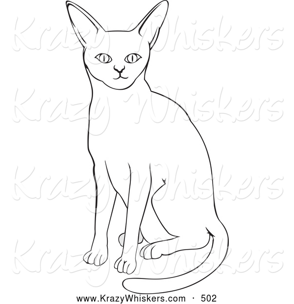 Critter Clipart of a Plain Abyssinian Cat