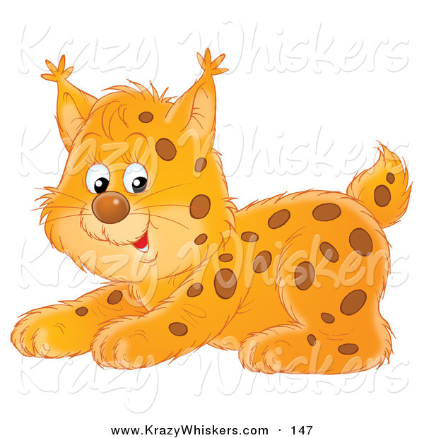 Critter Clipart of a Playful Spotted Bobcat Crouching - Royalty FreePlayful Spotted Bobcat Crouching