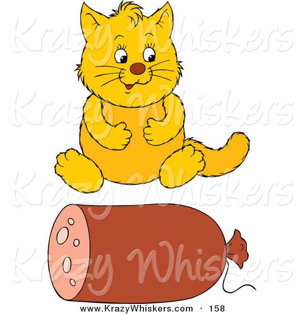 Critter Clipart of a Pudgy Yellow Cat Sitting in Front of a Roll of Sausage