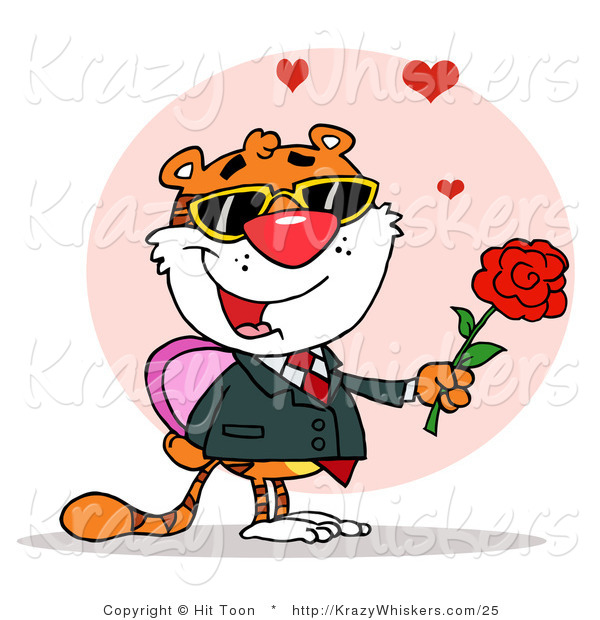 Critter Clipart of a Romantic Tiger Holding a Box of Candies and a Rose for His Date