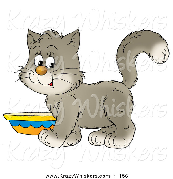 Critter Clipart of a Sweet Gray and White Kitten Standing by a Saucer of Milk