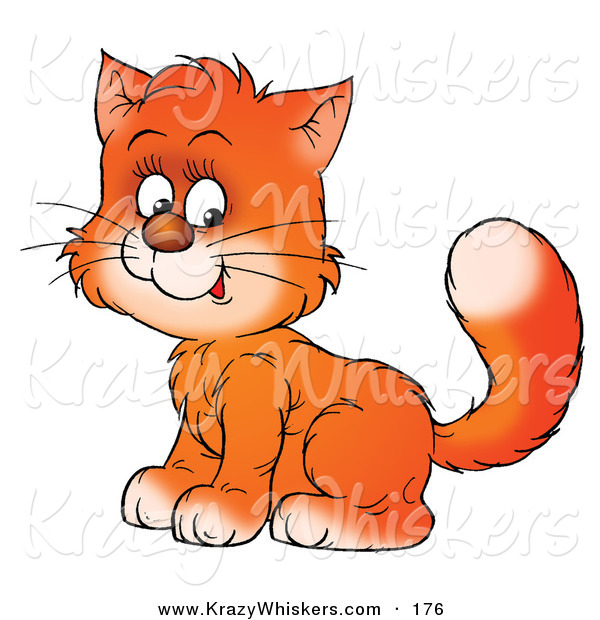 Critter Clipart of a Sweet Orange Kitty Cat Sitting with Its Body Facing Left, Its Head Turned Towards the Viewer