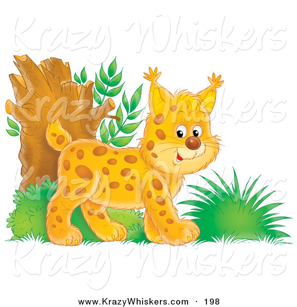 Critter Clipart of an Energetic Orange Bobtail Kitten Exploring in the Woods