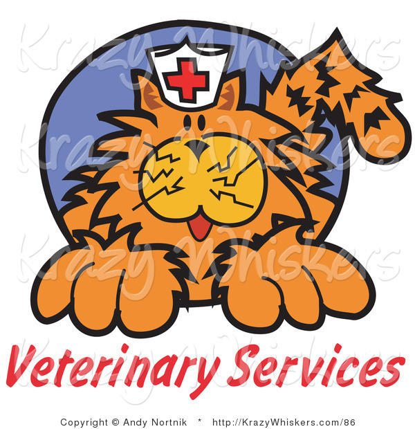 Critter Clipart of an Orange Cat with Crazy Whiskers Wearing a White Nursing Hat with a Red Cross on It Above Text Reading "Veterinary Services"