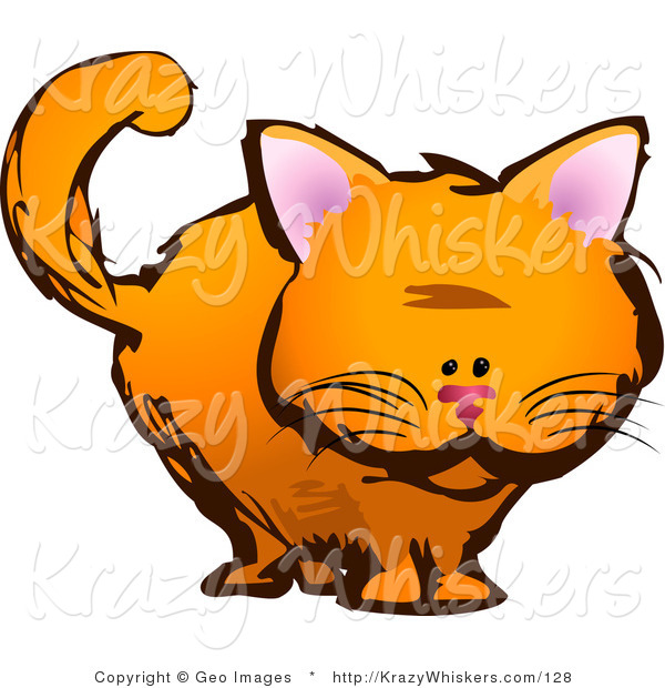 Critter Clipart of an Orange Kitten Looking Forward