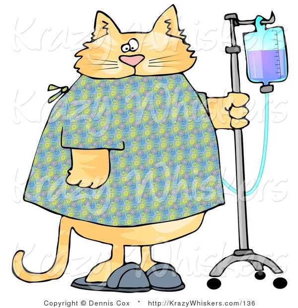Critter Clipart of an Orange Tabby Cat with an IV Drip on a Stand in a Hospital