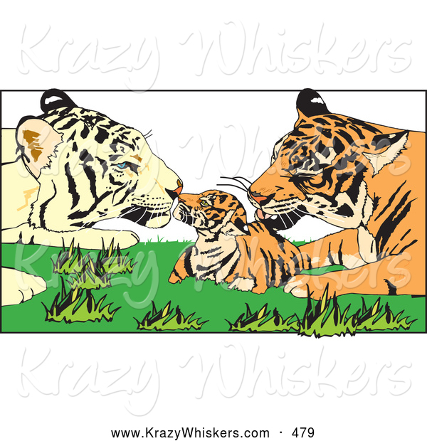 Critter Clipart of Tiger Parents Grooming Their Cute Cub